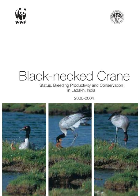 Black-necked Crane - WWF-India