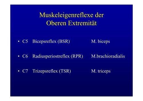 WirbelsÃ¤ule Diagnostik und Therapie Christoph H ... - fsrmed.de