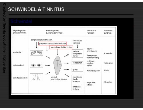 Schwindel -Tinnitus â UKE