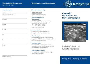 Anatomie der Muskel- und Nervensonographie Institute fÃ¼r ...