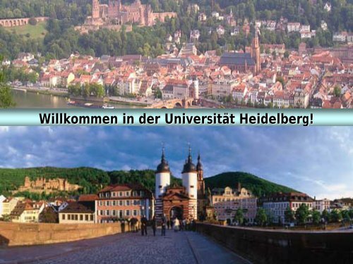 und Sozialwissenschaften - Ruprecht-Karls-Universität Heidelberg