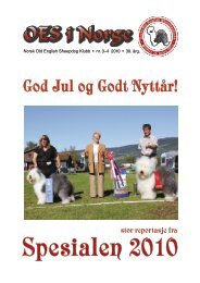 «OES i Norge» nr. 3/4 – 2010