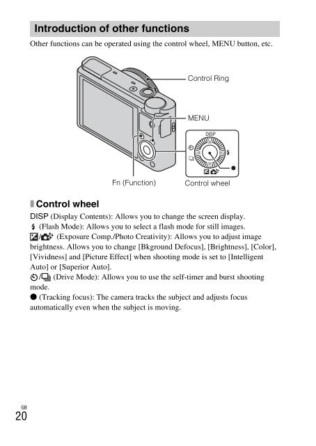 DSC-RX100