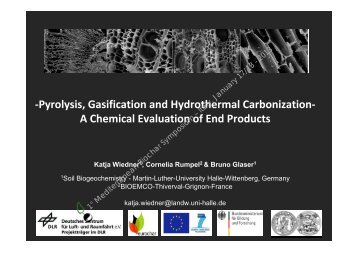 -Pyrolysis, Gasification and Hydrothermal Carbonization- A ...
