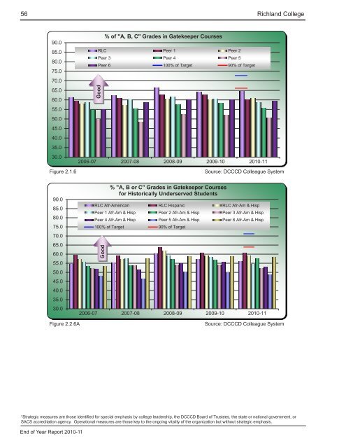 End of Year Report - Richland College