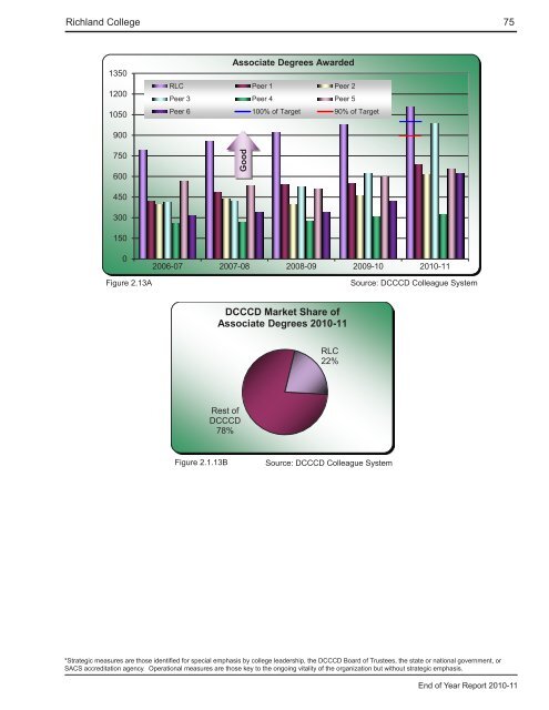 End of Year Report - Richland College