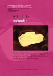 Effort de mémoire - Plein Sud - Université Paris-Sud 11