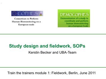 Study design and field work - Kerstin Becker