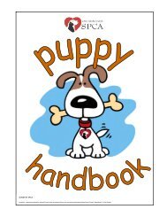 Puppy Handbook for Adopters - San Francisco SPCA