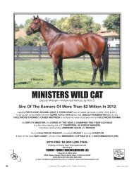 MINISTERS WILD CAT - California Thoroughbred Breeders Association