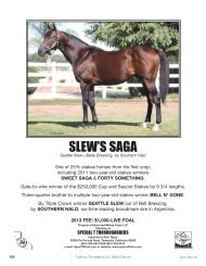 SLEW'S SAGA - California Thoroughbred Breeders Association