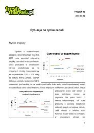 Sytuacja na rynku cebuli - Fresh-market.pl