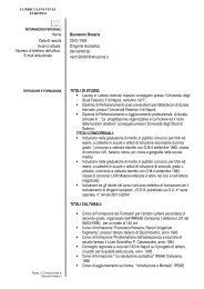 Curriculum vitae - Nitti