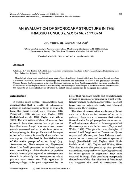 AN EVALUATION OF SPOROCARP STRUCTURE IN THE ...