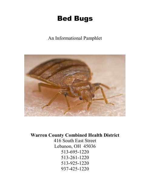 Bed Bug Pamphlet - Springboro, Ohio