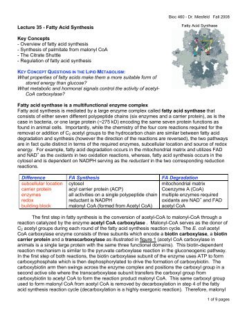 Lecture 35 - Fatty Acid Synthesis Key Concepts - Overview of fatty ...