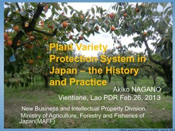 6.PVP System in Japan.pdf - The East Asia Plant Variety Protection ...