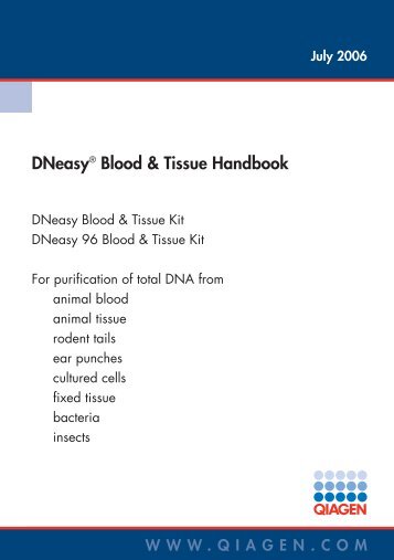 DNeasy Blood & Tissue Handbook PDF