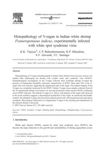 Histopathology of Y-organ in Indian white shrimp ... - Eprints@CMFRI