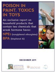 POISON IN PAINT, TOXICS IN TOYS - HealthyStuff.org