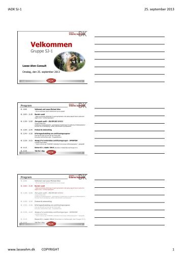 ISO 19 011 vejledning i auditering af ledelsessystemer - Lasse Ahm ...