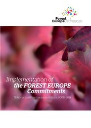 the FOREST EUROPE Commitments