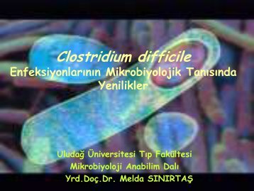 Clostridium Difficile, Enfeksiyonlarının Mikrobiyolojik Tanısında