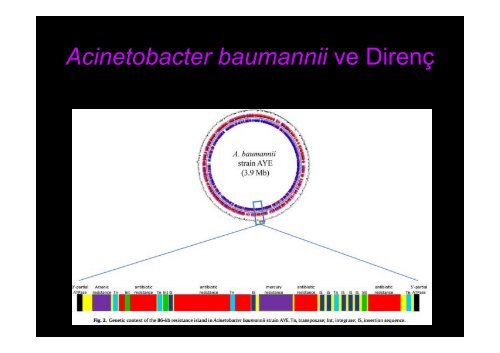 Sorun Yaşadığımız Dirençli Mikroorganizmalarda Tedavi Yaklaşımları