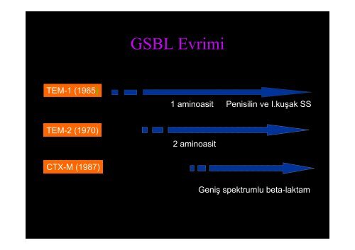 Sorun Yaşadığımız Dirençli Mikroorganizmalarda Tedavi Yaklaşımları