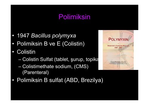 Sorun Yaşadığımız Dirençli Mikroorganizmalarda Tedavi Yaklaşımları