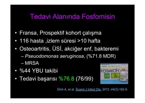 Sorun Yaşadığımız Dirençli Mikroorganizmalarda Tedavi Yaklaşımları