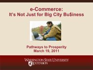 e-Commerce: - WSU Extension