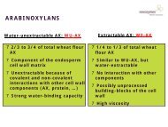 Enzyme Functionality and Potential Applications - Tortilla Industry ...