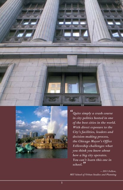 City of Chicago 2012 Mayor's Office Fellowship Brochure.pdf