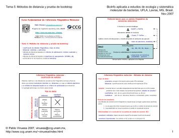 Tema 5: MÃ©todos de distancia y prueba de bootstrap ... - CCG-UNAM