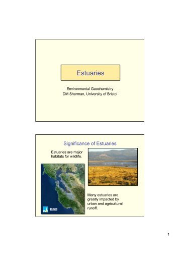 Lecture Notes (PDF) - Aqueous and Environmental Geochemistry