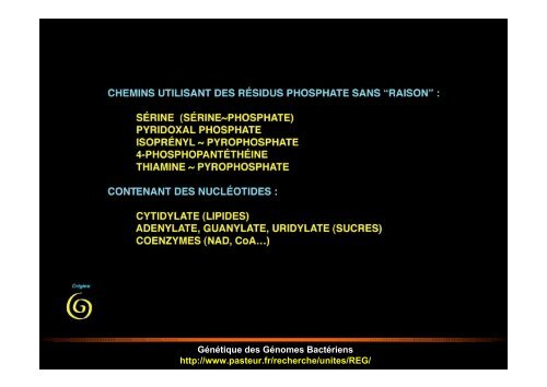 CE QUE NOUS APPREND LA STRUCTURE DES ... - Normalesup.org