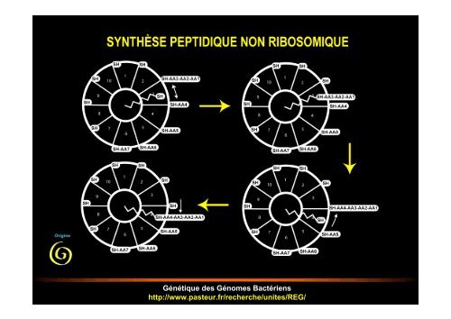 CE QUE NOUS APPREND LA STRUCTURE DES ... - Normalesup.org