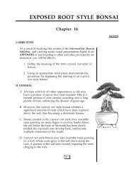 EXPOSED ROOT STYLE BONSAI Chapter 16