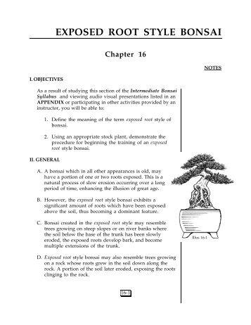 EXPOSED ROOT STYLE BONSAI Chapter 16