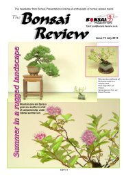 Issue 73 - July 2013 - Federation of British Bonsai Societies