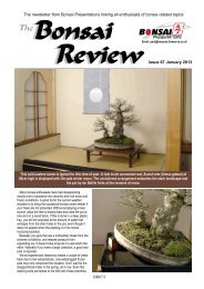 The newsletter from Bonsai Presentations linking all enthusiasts of ...