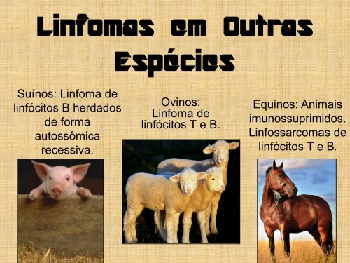 Imunologia dos Tumores - Unesp