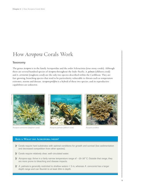 Caribbean Acropora Restoration Guide - The Florida Reef ...