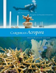 Acropora - Reef Resilience