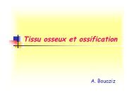 Tissu osseux et ossification