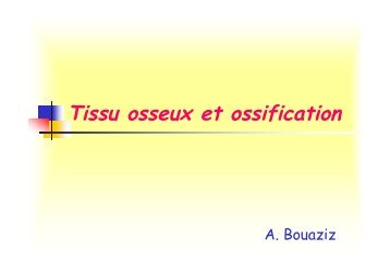 Tissu osseux et ossification