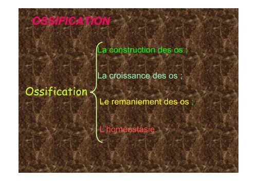 Tissu osseux et ossification