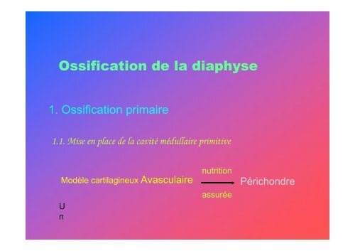 Tissu osseux et ossification