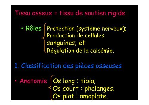 Tissu osseux et ossification